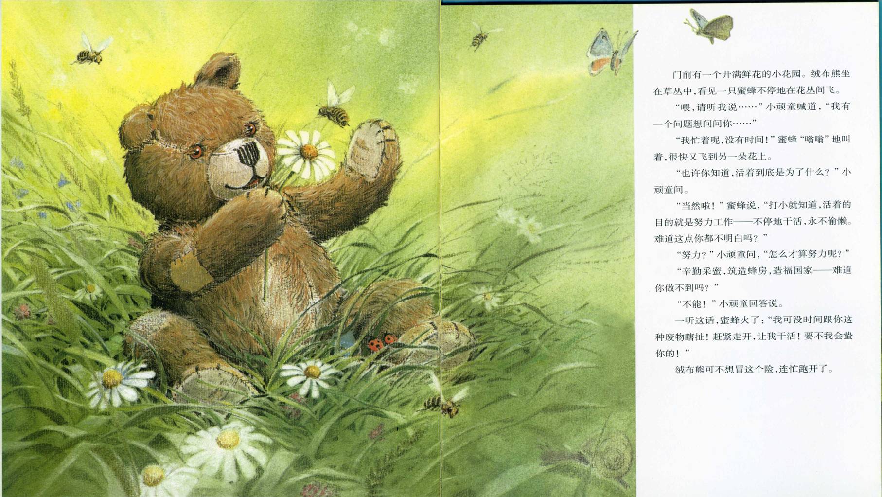 出走的绒布熊 (06),绘本,绘本故事,绘本阅读,故事书,童书,图画书,课外阅读